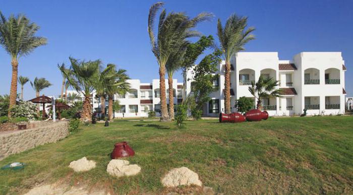  coral beach resort tiran 4 фото