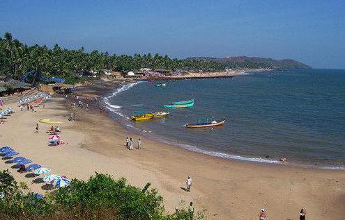 arambol plaza beach resor