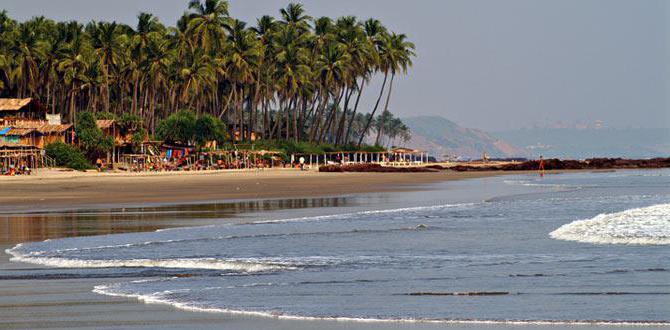 arambol plaza beach resort 3