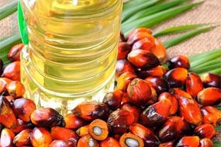 красное пальмовое масло применение