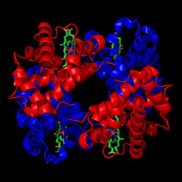 признак ксантопротеиновой реакции распознавания белков 