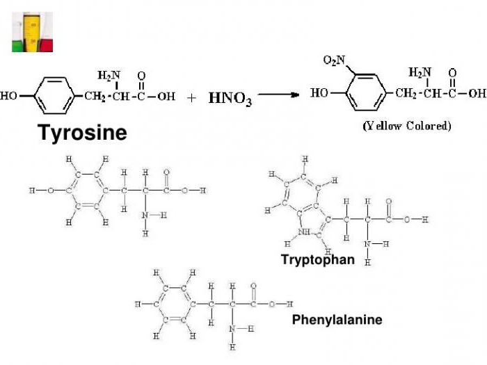 Ксантопротеиновая реакция белков уравнение реакции