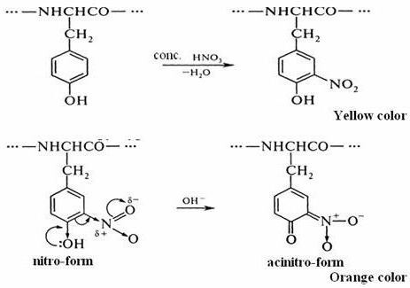 Ксантопротеиновая реакция уравнение с азотной кислотой концентрированной