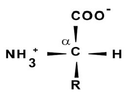 Ксантопротеиновая реакция на белки уравнение реакции