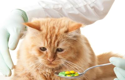 таблетки от глистов для кошек отзывы