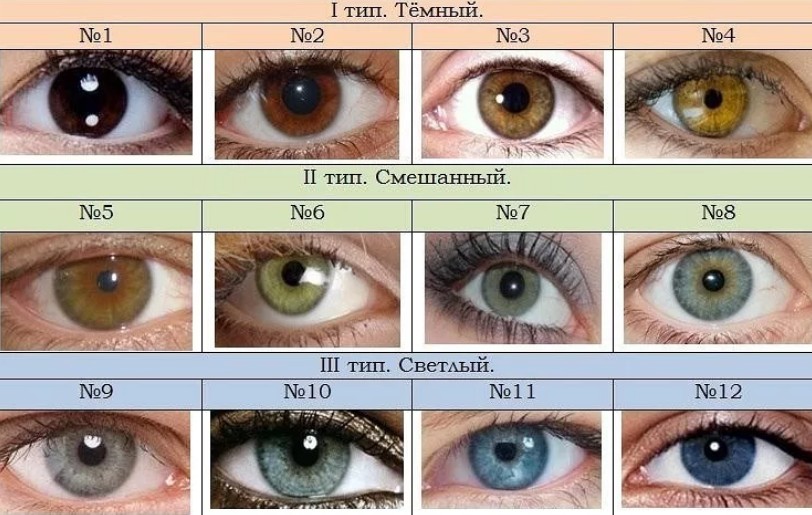 Глаза сравнение. Шкала цвета глаз. Цвет глаз таблица. WDTRNF cukfp. Цвету глаз.