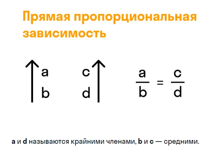 Пропорция в математике