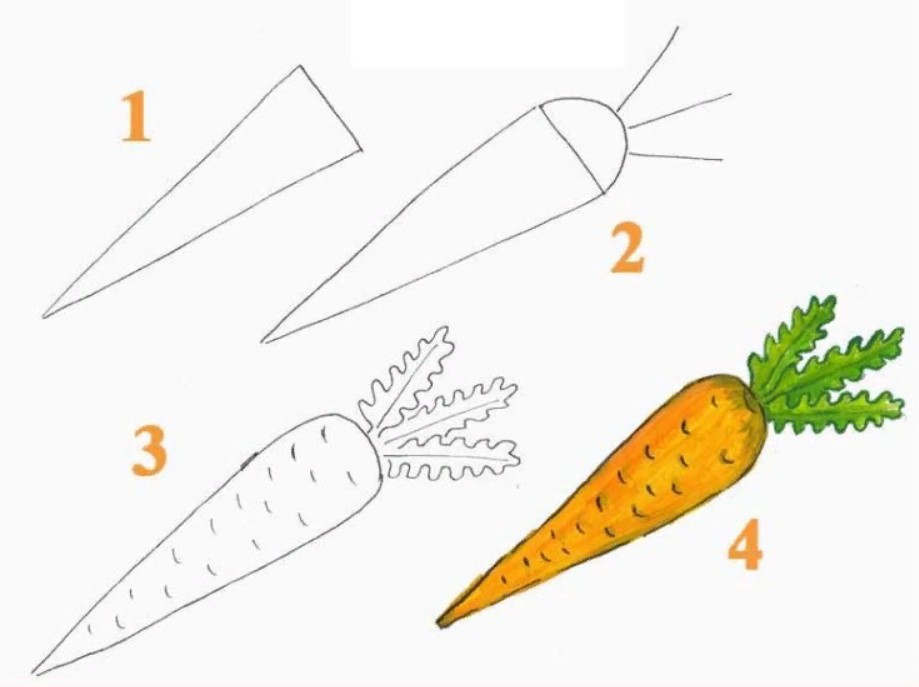 как нарисовать морковку