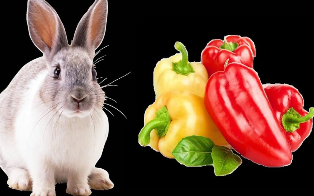 Кролик ест болгарский перец