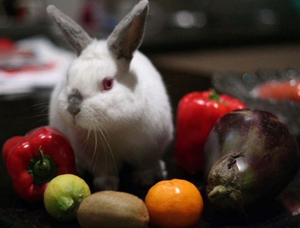 Кролик и болгарский перец