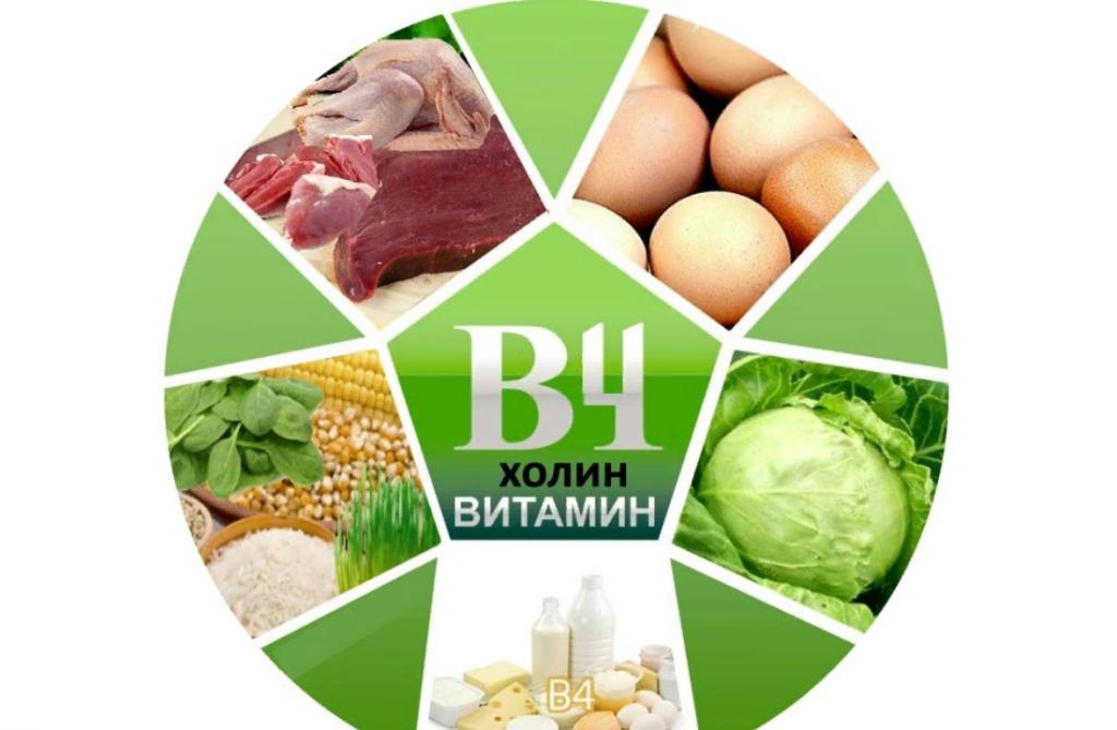 витамин холин в каких продуктах содержится