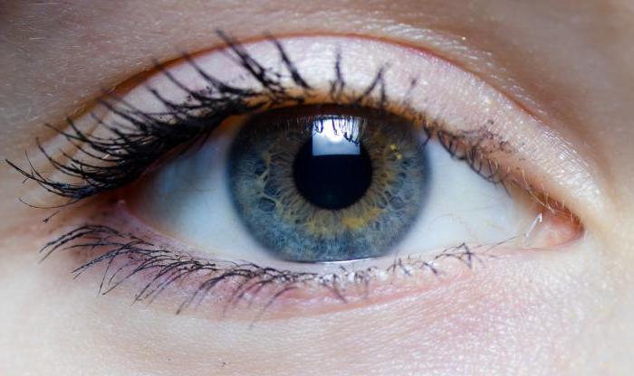 Лечение отслоения сетчатки глаза луцентисом thumbnail