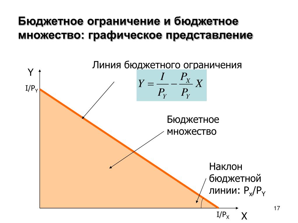 бюджетное ограничения в экономике