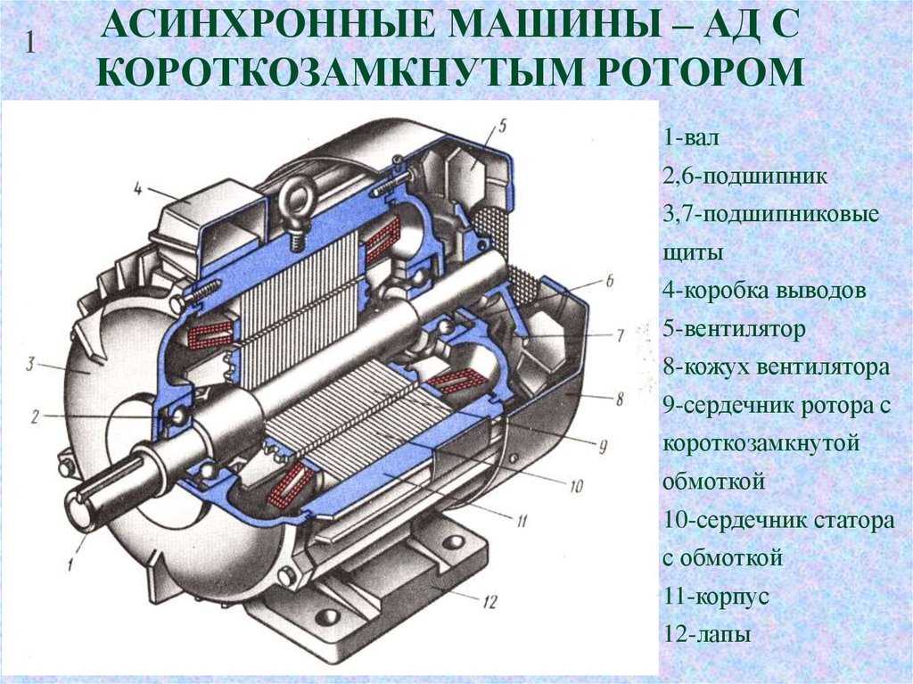 Асинхронный двигатель, ротор