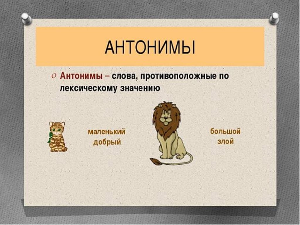 Значение слова тонкий. Антонимы. Антонимы-это слова с противоположным. Медведь синонимы и антонимы. Антонимы к слову медведь.