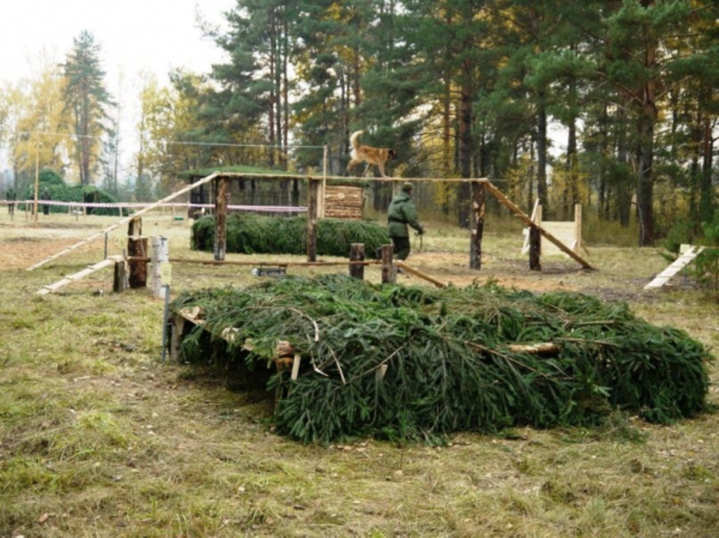 На тренировках - инструктор и собака