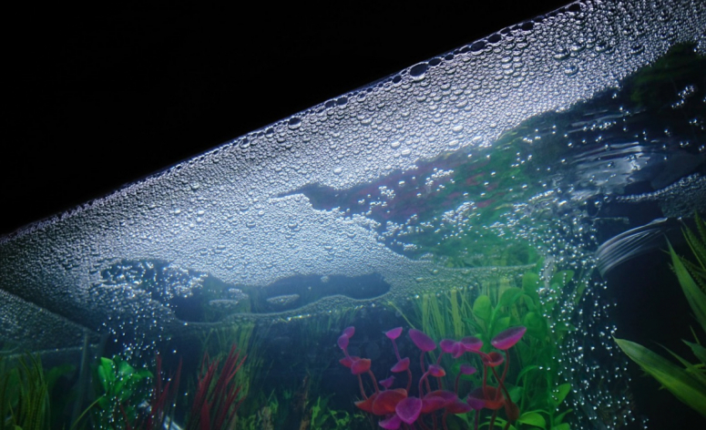 Почему пузырьки в аквариуме. Пена на поверхности аквариума. Пузырьки на поверхности воды в аквариуме. Пузыри в аквариуме на поверхности. Пленка в аквариуме на поверхности с пузырями.