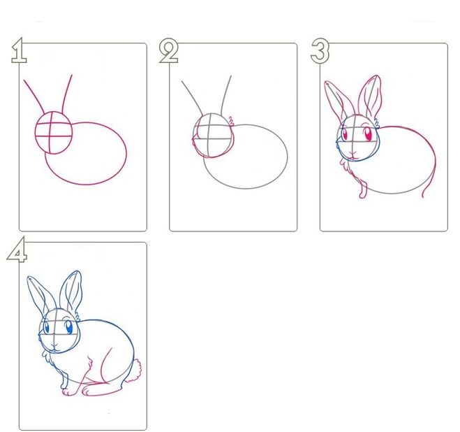 Как рисовать морду зайца