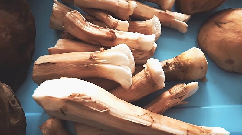 Очистить ножом грибы перед заморозкой