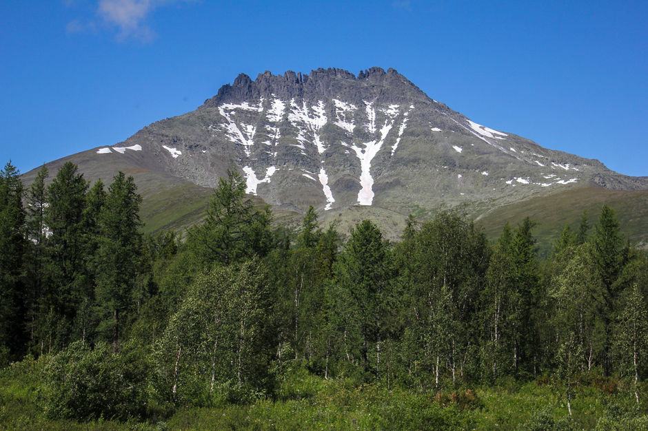 Гора Манарага или Медвежья лапа на Урале