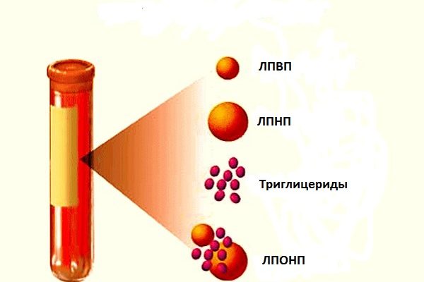 триглицериды понижены