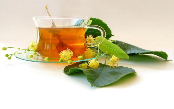 чай из цветков липы