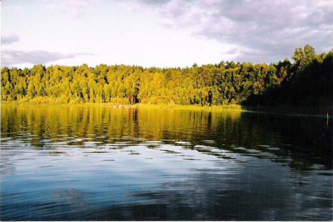 Озеро леданово монино фото