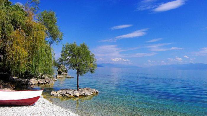 ohrid lake water temperature