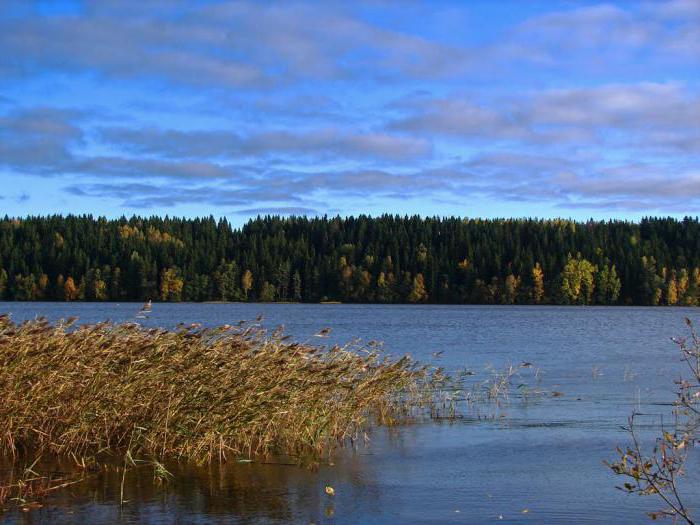 Озеро красавица ленинградская область