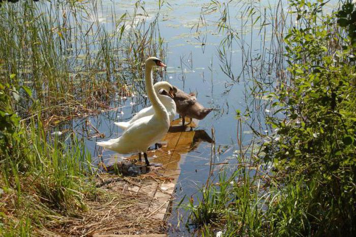 Regulations on the Smolensk Lake District National Park