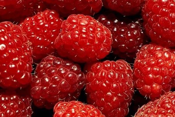 10 самых полезных ягод