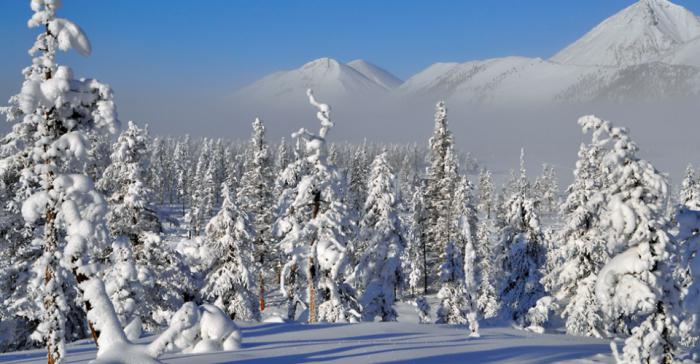 The climate of Novosibirsk.