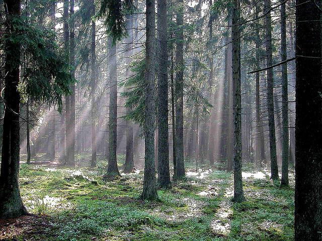 самые красивые места беларуси