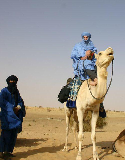 племена туарегов