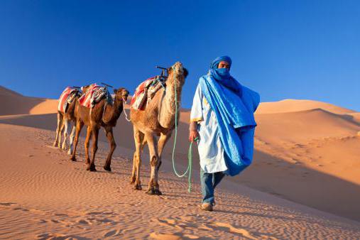 племена туарегов история
