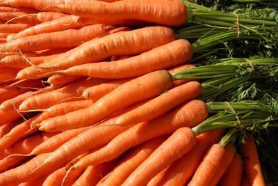 carrots are rich in vitamin