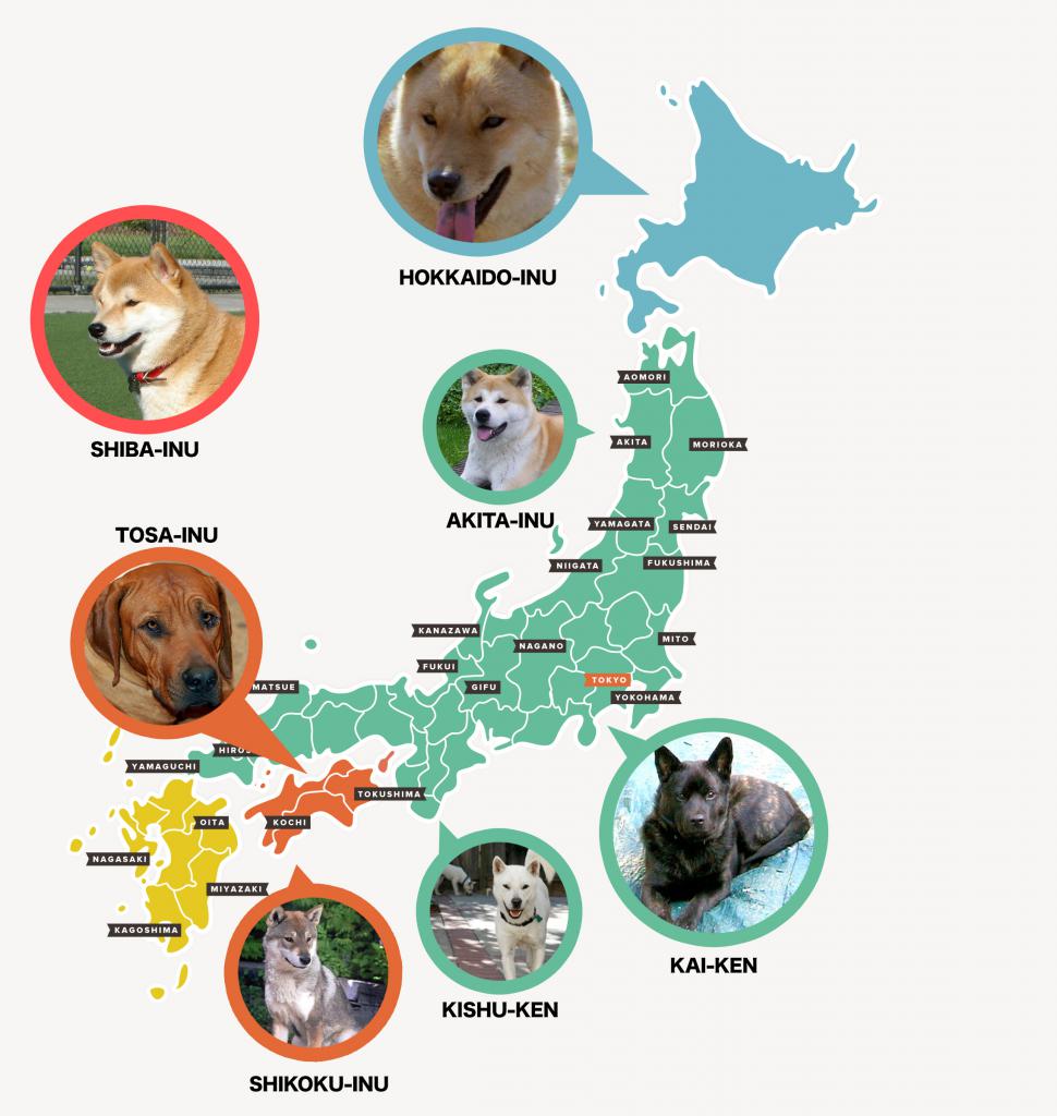 Map of Japanese Dog Breeds