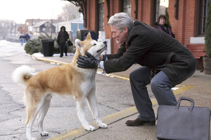 Frame from the movie "Hachiko"