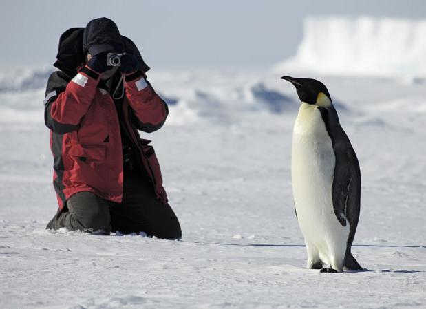 открытие и исследование антарктиды