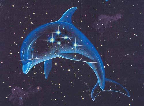 созвездие дельфин