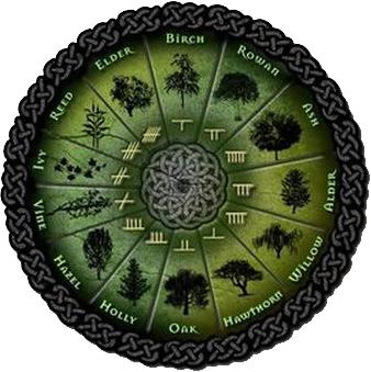 гороскоп друидов по деревьям характеристика