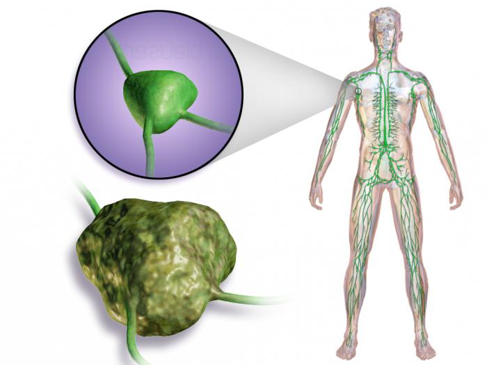 human biology in tables and diagrams