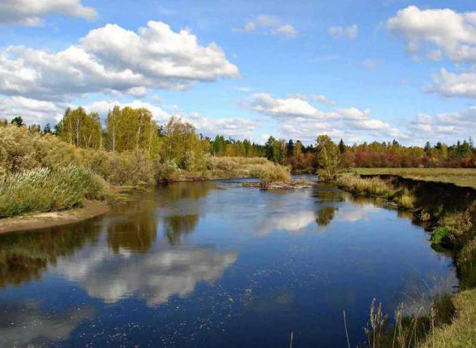 рыбные места нижегородской области