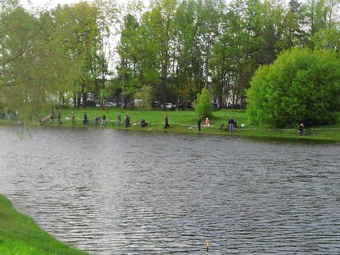 самые рыбные места нижегородской области