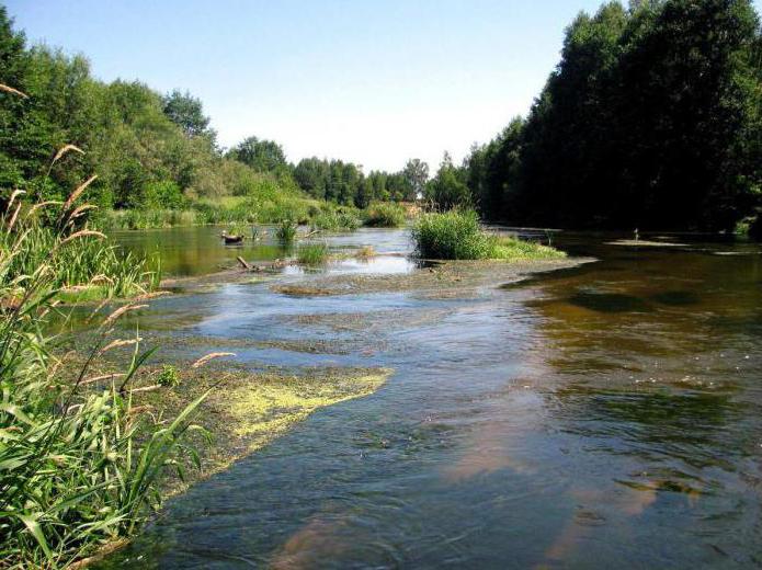 рыболовные места нижегородской области 