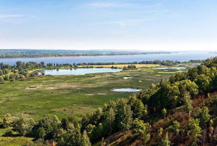 Заповедники нижегородской области фото