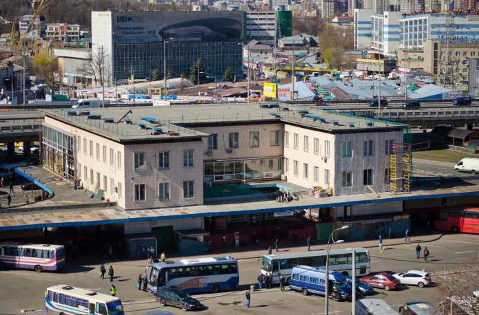 киев автовокзал центральный телефон