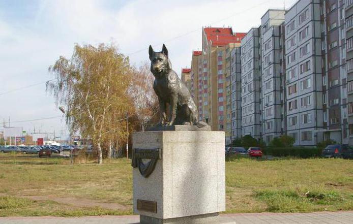 Памятник овчарке в тольятти история фото