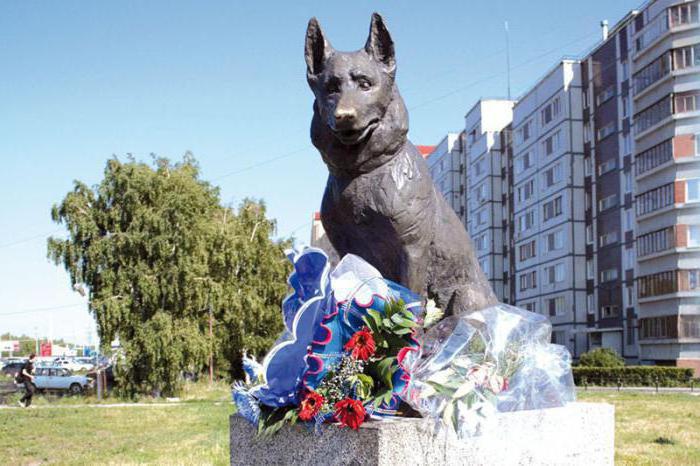 памятник преданности памятник собаке