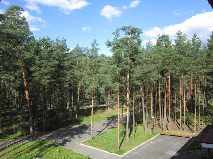 health resort russian forest reviews